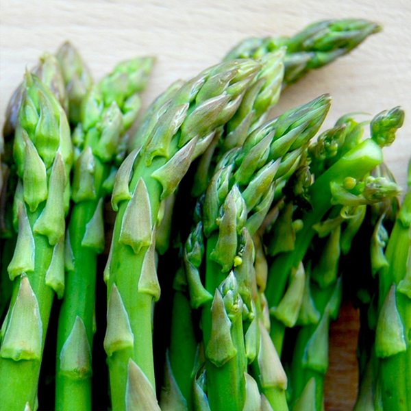 Asparagus Crowns Millennium