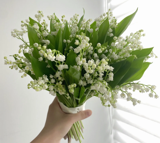 💐Lily of the Valley - Happiness Arrives