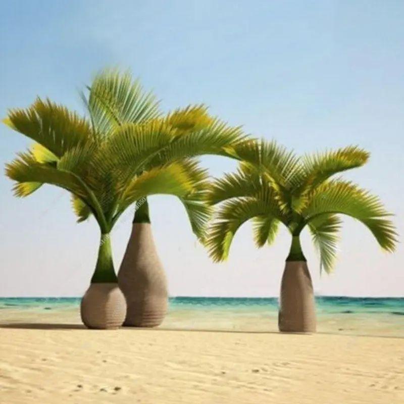 20 Pcs Exotic Bottle Palm Seeds Bonsai Tropical Ornamental Tree Plant Seeds Garden Planting