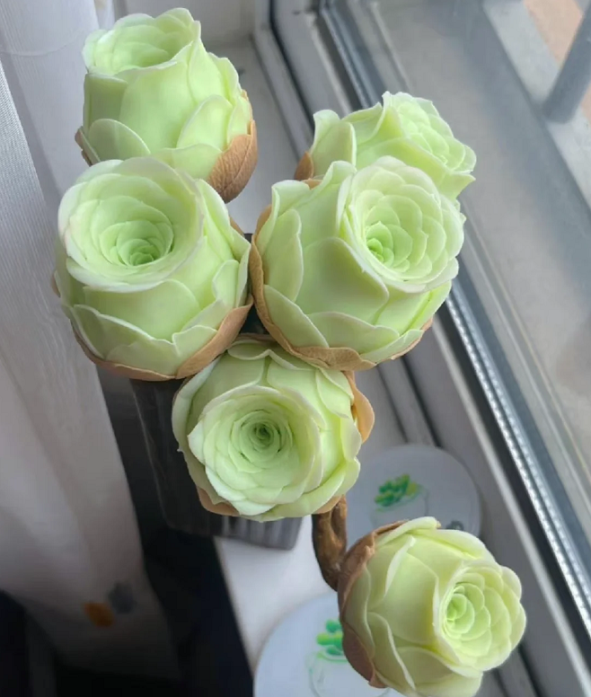 Mountain Rose Succulent Plant