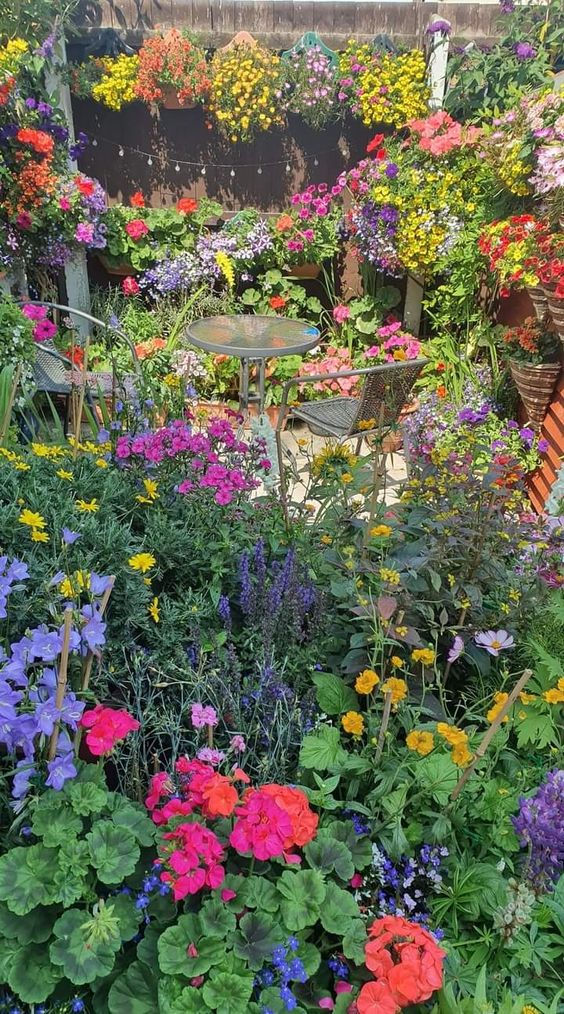 Mixed Perennial Flowers Seeds-Over 80 kinds mixed