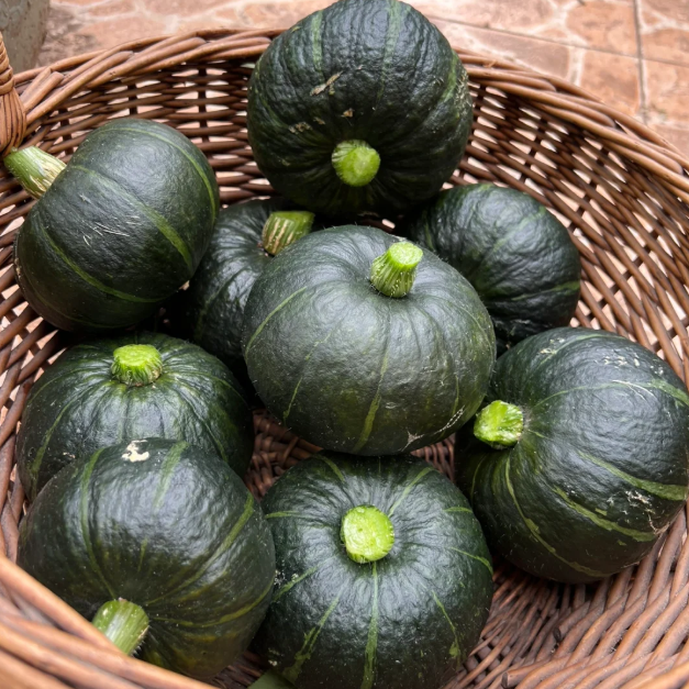 🎃Kabocha Pumpkin Seeds