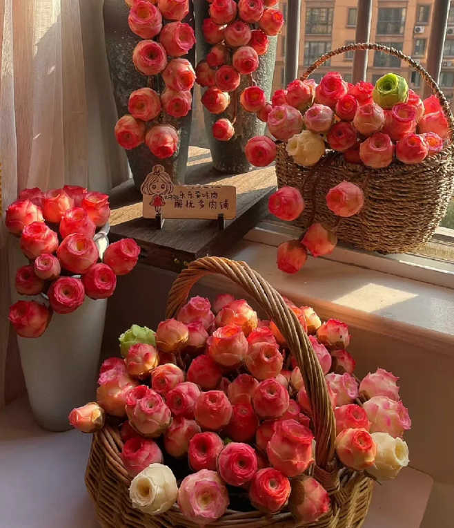 Mountain Rose Succulent Plant