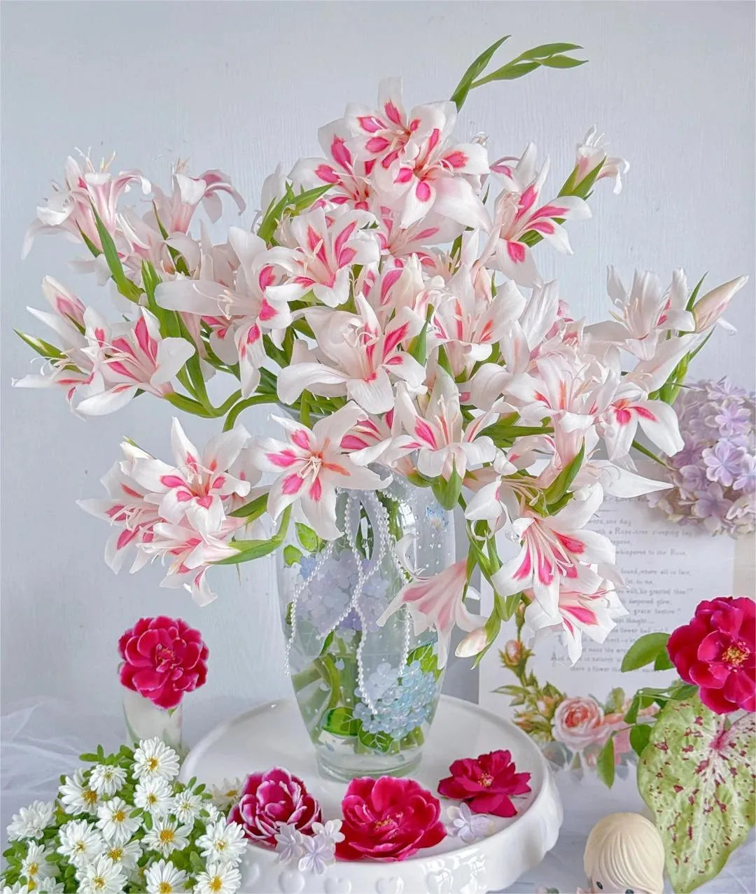 Cat's Claw Gladiolus 🩷 pink and cute