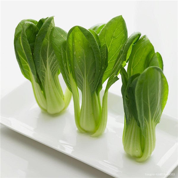 All year round 200pcs Chinese cabbage seeds