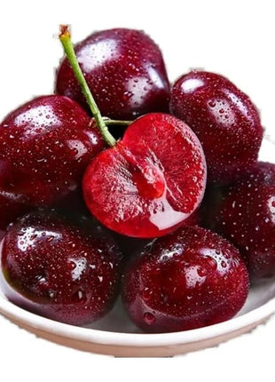 🍒Rainier Cherry Fruit Seeds(🌿99% Germination)