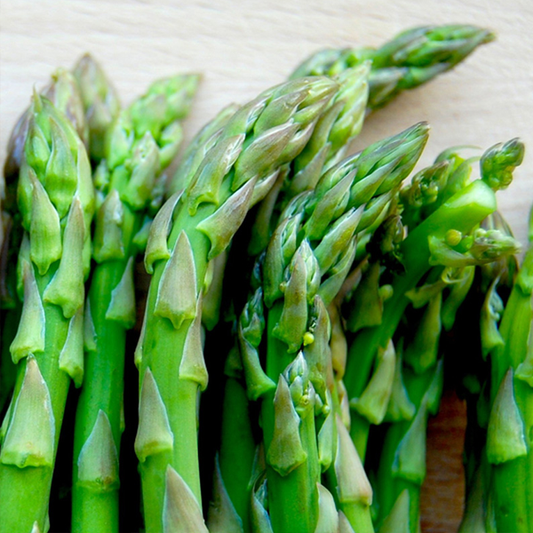 Asparagus Crowns Millennium
