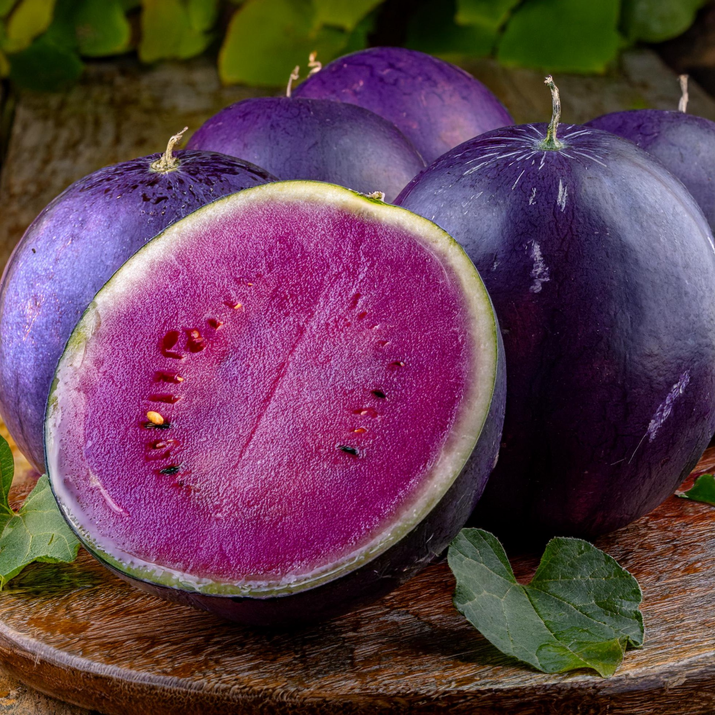 Purple Watermelon Seeds🍉✨