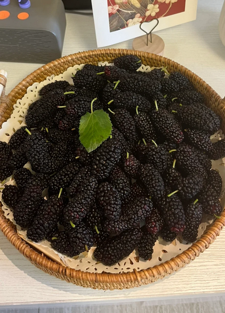 Black Mulberry Seeds
