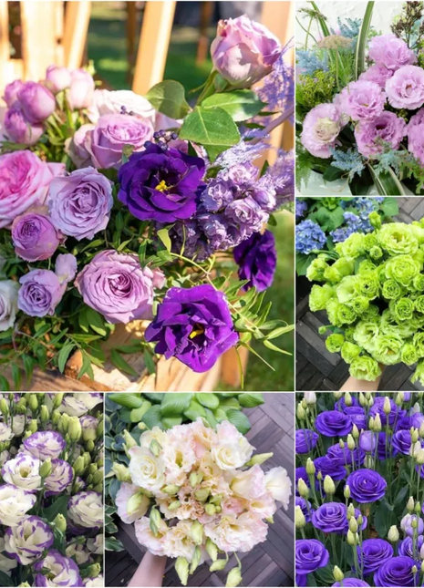 💐Lisianthus - A Sincere and Immutable Love