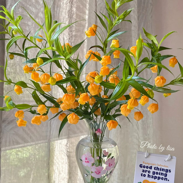 💐Lantern Lily—Christmas Wind Chimes—Christmas Bells—Home Bonsai
