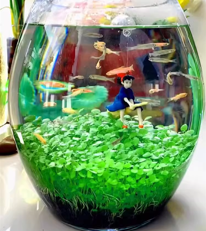 🌿Air Purifying Fish Tank Aquatic Plant Seeds