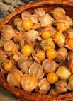 Yellow / 150 Seeds