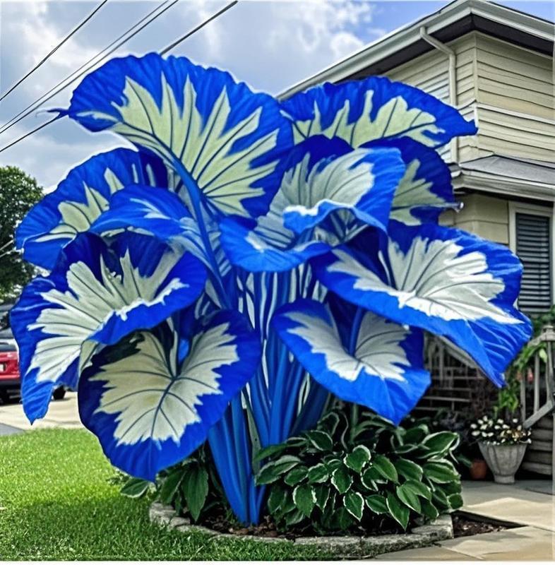 800pcs Mixed Hosta Seeds – Colorful Shade-Loving Perennials for Garden Borders & Landscaping – Easy to Grow, Perfect for Lush Green Spaces