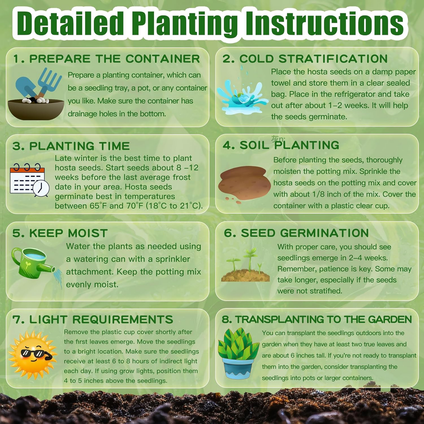 Hosta Seeds Perennial Grow Easily