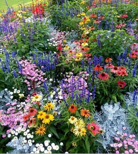 Mixed Perennial Flowers Seeds-Over 80 kinds mixed