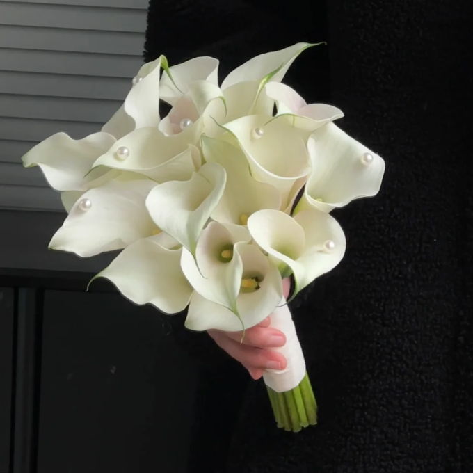 Calla Lily Seeds - Mixed - Beautiful Flowers Planting