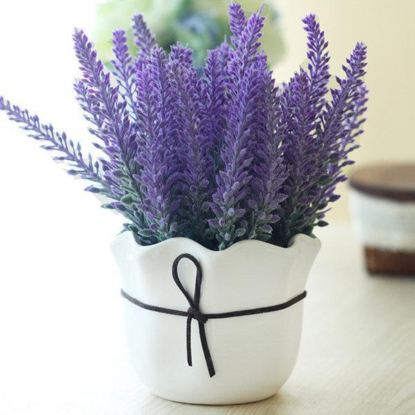 200Pcs Provence Lavender Seeds Fragrant Organic Flower Seeds Home Garden Bonsai Plant
