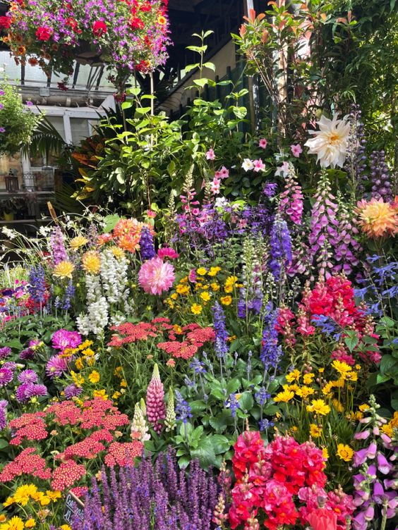Mixed Perennial Flowers Seeds-Over 80 kinds mixed