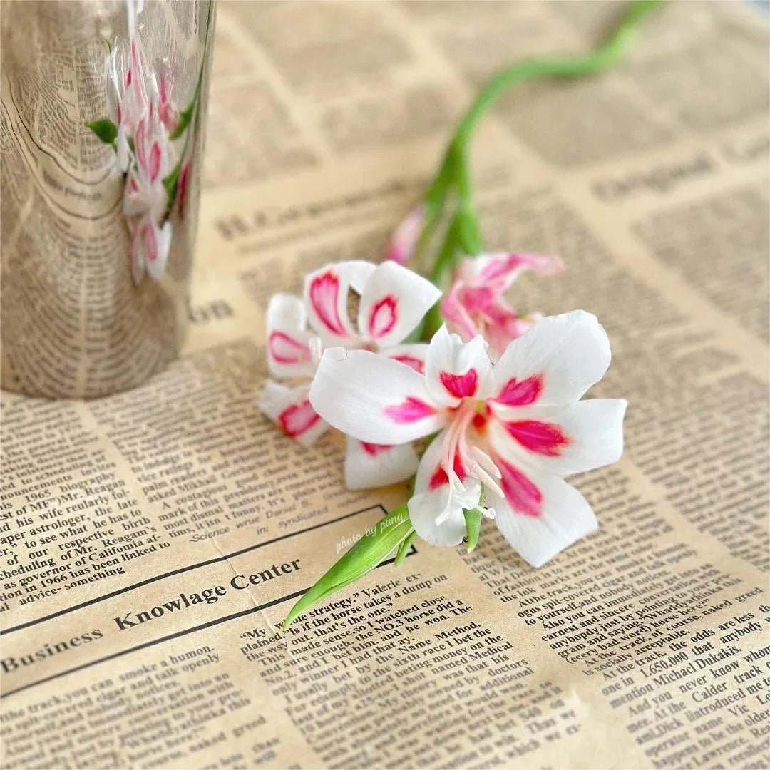 Cat's Claw Gladiolus 🩷 pink and cute