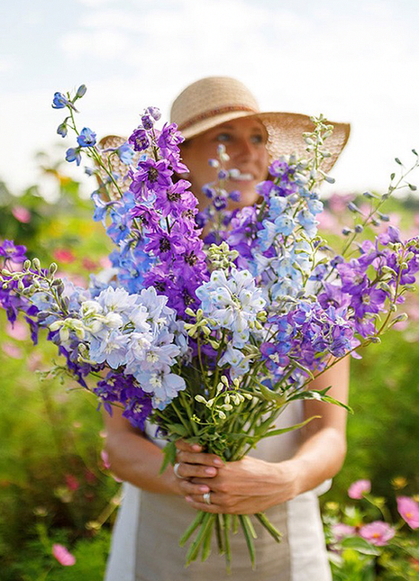 Delphinium Seeds