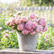 Peony