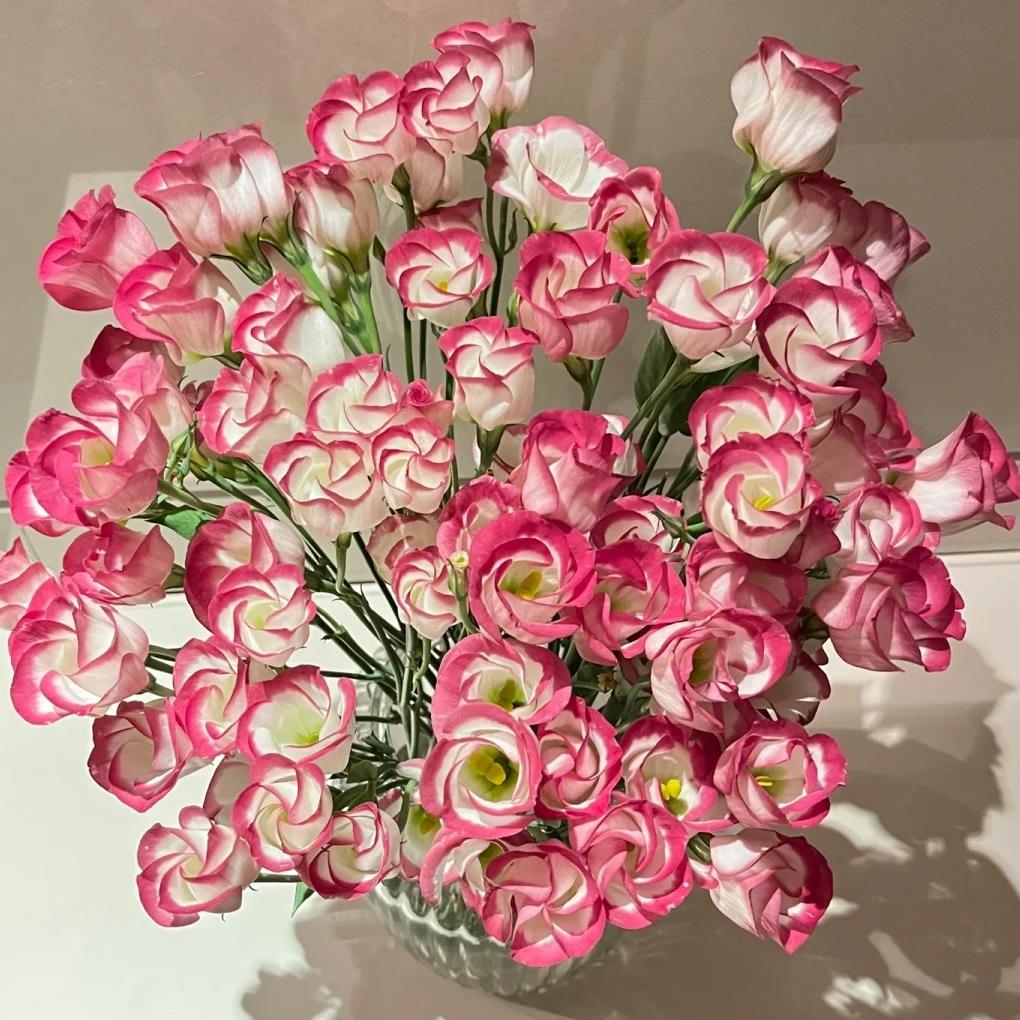 🌺Lisianthus – Sincere Love