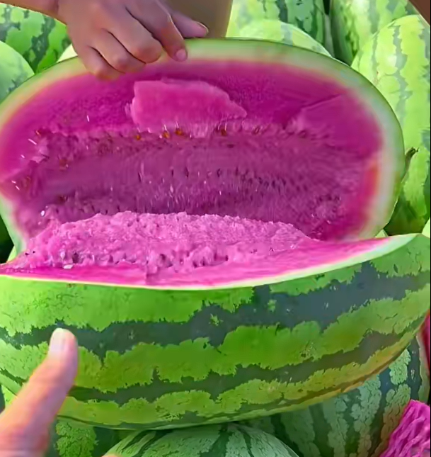 Pink Mist Watermelon Seeds🍉✨
