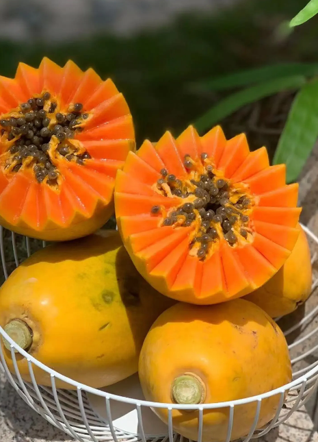 Golden Creamy Papaya Seeds