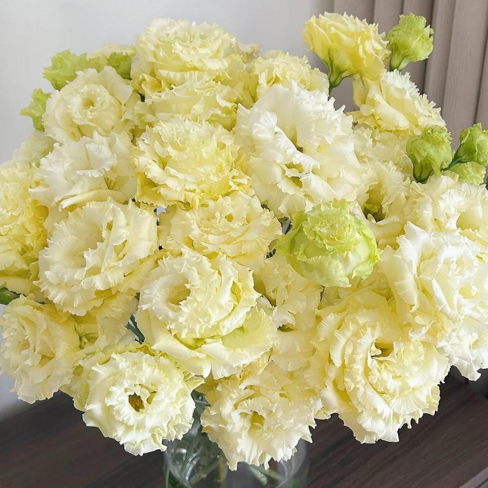 🌺Lisianthus – Sincere Love