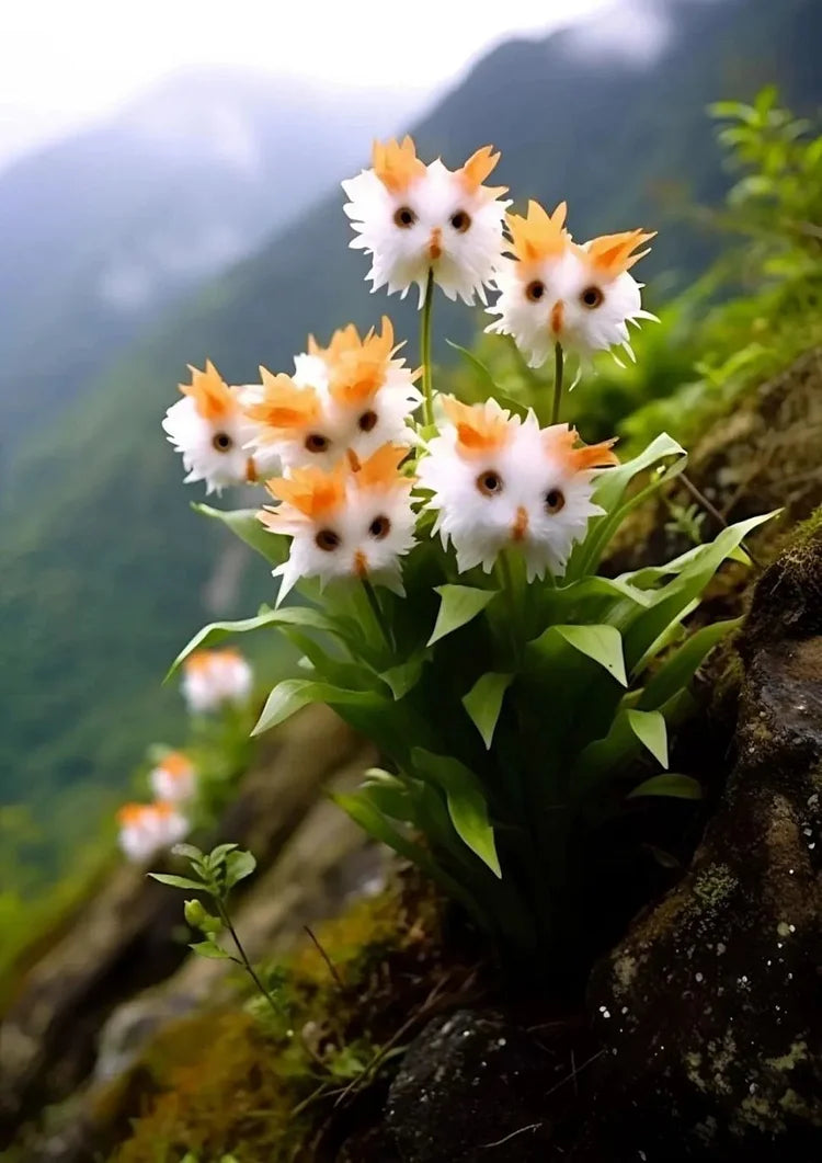 🔥🔥Group discount! Cat's eye flower