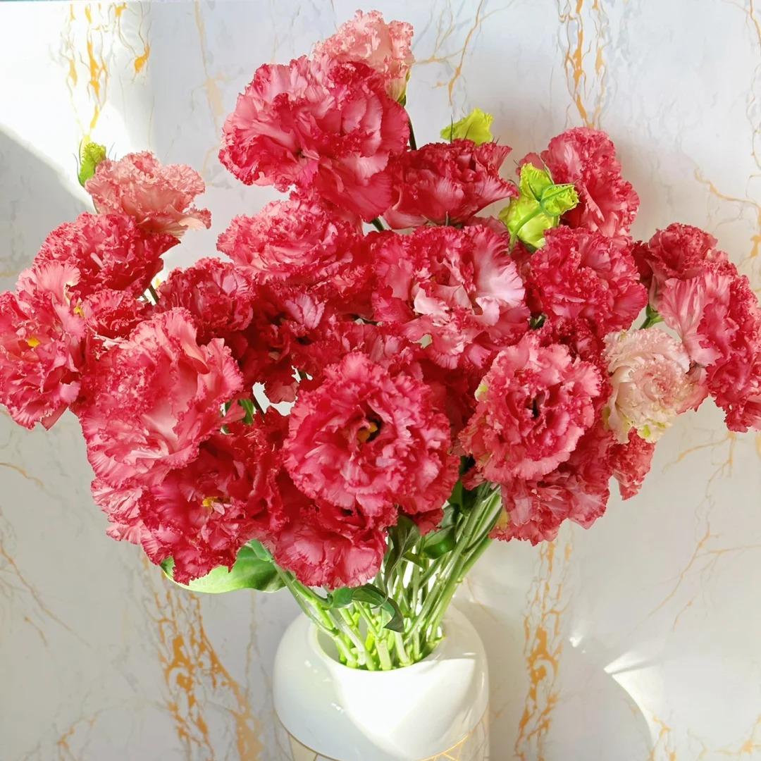 🌺Lisianthus – Sincere Love