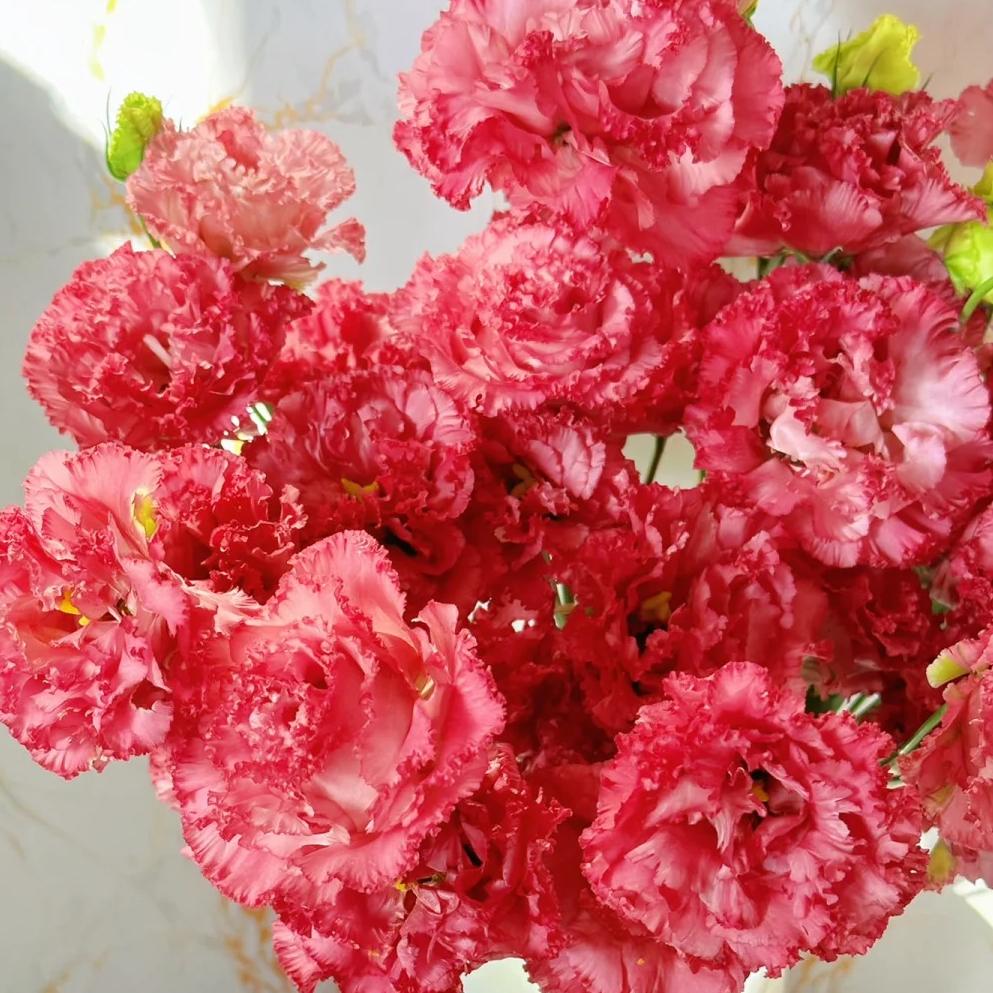 🌺Lisianthus – Sincere Love