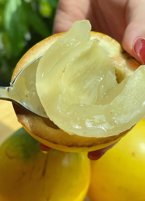 Golden Fruit Seeds