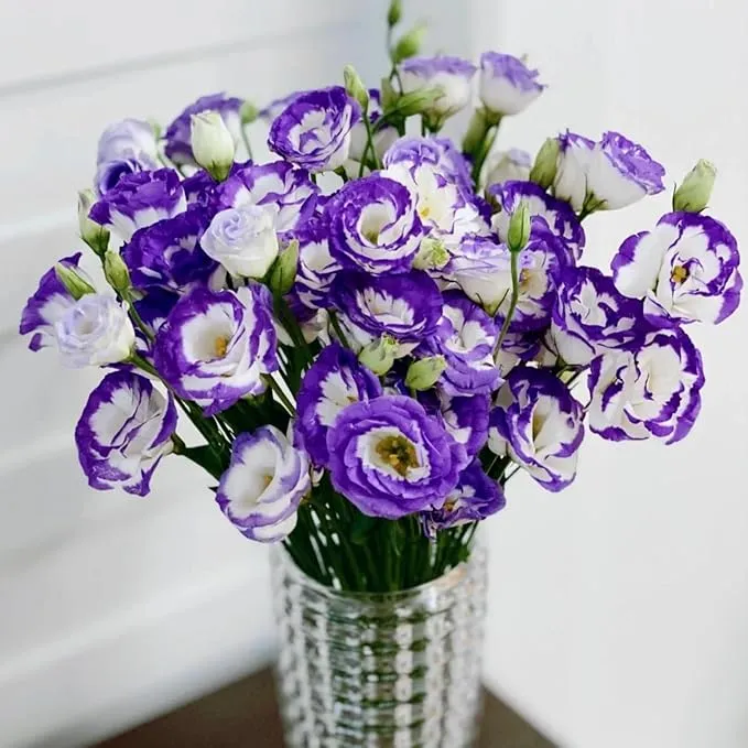💐Lisianthus - A Sincere and Immutable Love