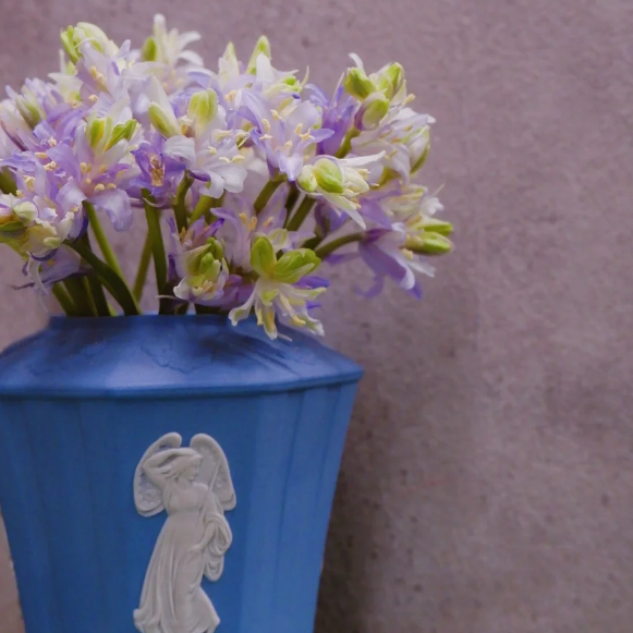 🧚‍♂️🔔Bluebells – The Fairies' Lucky Bells