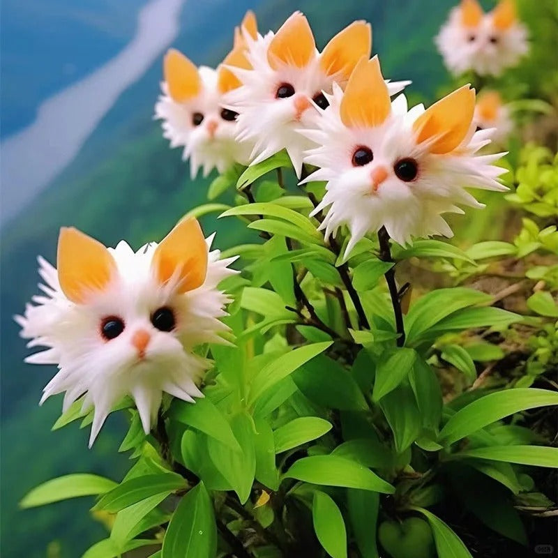 Amazing plants! Cat's eye dazzle Series