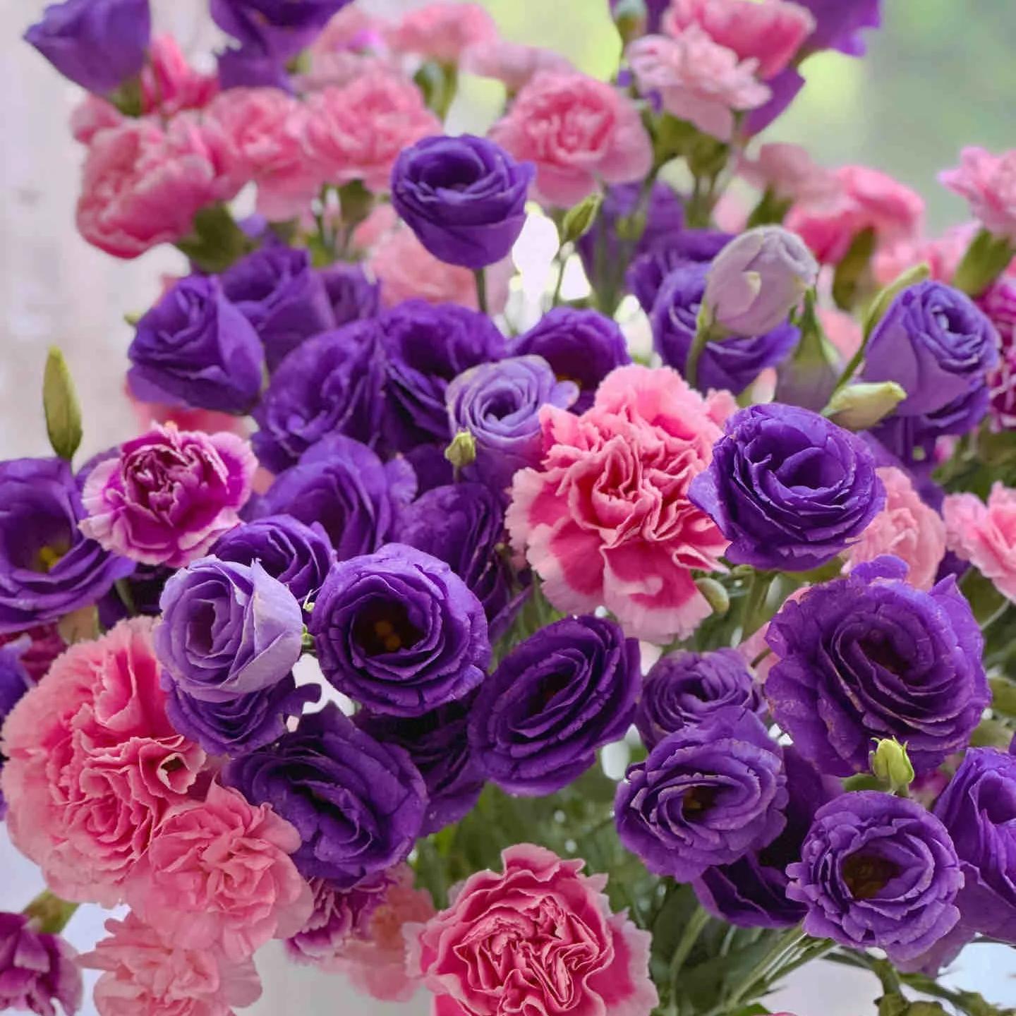🌺Lisianthus – Sincere Love